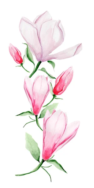 Blommor Arrangemang För Ramar Och Gränser Akvarell Magnolia Mall För — Stockfoto