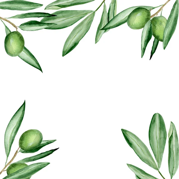 Olives Vertes Sur Branches Cadre Aquarelle Modèle Pour Décoration Dessins — Photo