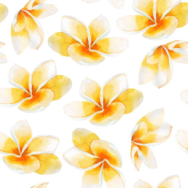 Plumeria Tropical Aquarela Sem Costura Padrão Modelo Para Decorar Desenhos — Fotografia de Stock