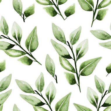 Yeşil yapraklı dallar suluboya desensiz. Tasarım ve çizimler için şablon.