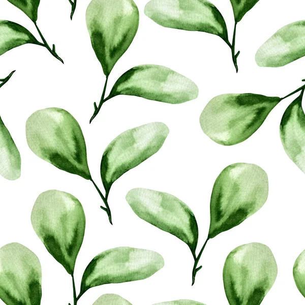 Zielony Pozostawia Bezszwowy Wzór Akwareli Szablon Dekoracji Wzorów Ilustracji — Zdjęcie stockowe