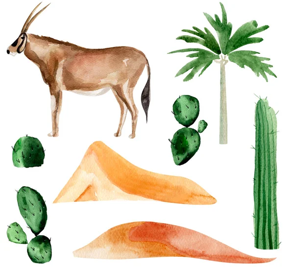 Woestijn Gazelle Palm Cactussen Duinen Aquarel Set Model Voor Het — Stockfoto