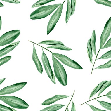 Zeytin ağacı dikişsiz suluboya deseni dallar. Tasarım ve çizimler için şablon.