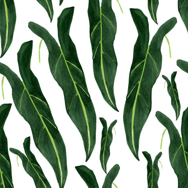 Tropik Yeşil Yapraklar Suluboya Desensiz Tasarım Çizimler Için Şablon — Stok fotoğraf