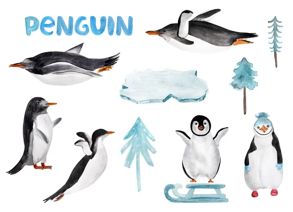 Ensemble Éléments Aquarelle Pingouins Modèle Pour Décoration Dessins Illustrations — Photo