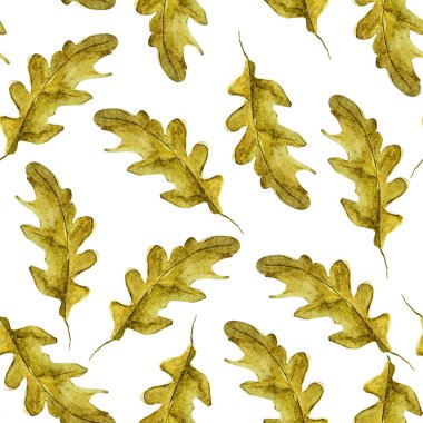 Meşe, suluboya deseni bırakır. Tasarım ve çizimler için şablon.