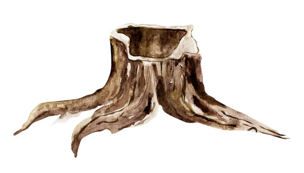 古老的木制树桩水彩画 装饰设计和插图模板 — 图库照片