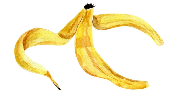 Banana Peel Watercolor Illustration Template Decorating Designs Illustrations — Stock Photo, Image