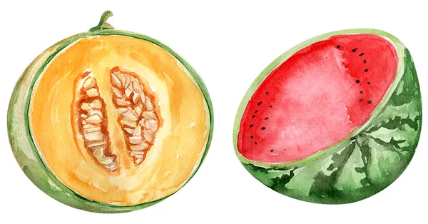 Melon Och Vattenmelon Akvarell Illustration Mall För Dekoration Mönster Och — Stockfoto