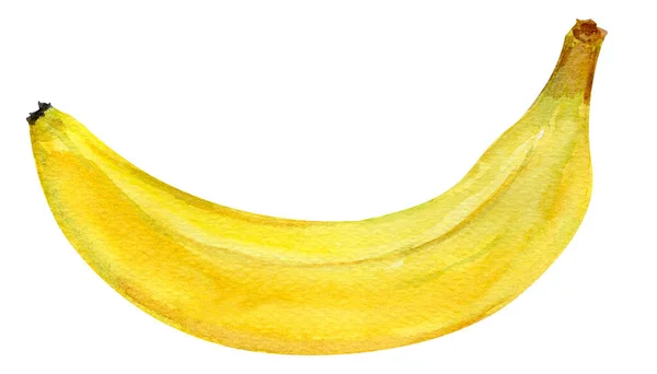 One Banana Watercolor Illustration Template Decorating Designs Illustrations — Stock Photo, Image