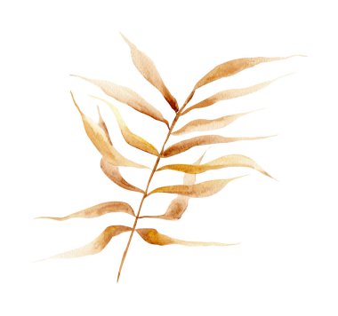 Kurumuş dallı suluboya çizimi. Tasarım ve çizimler için şablon.