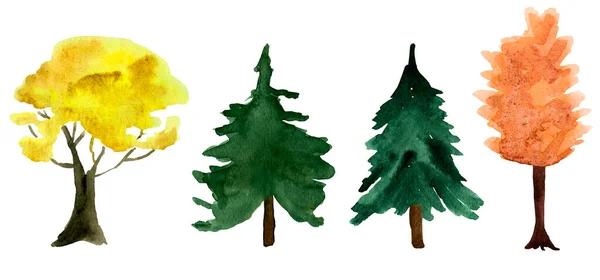 Χριστουγεννιάτικα Δέντρα Και Δέντρα Στην Εικόνα Ακουαρέλα Δάσος Πρότυπο Διακόσμησης — Φωτογραφία Αρχείου