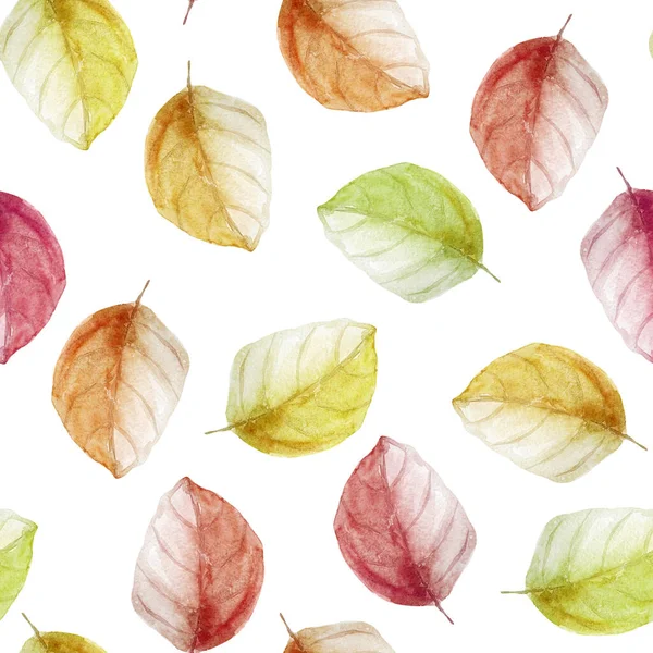 Barevné Podzimní Listy Akvarel Ilustrace Šablona Pro Zdobení Návrhů Ilustrací — Stock fotografie