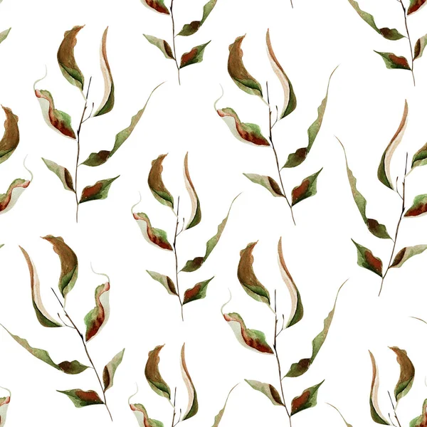 Dry Twigs Leaves Background Watercolor Seamless Pattern Template Decorating Designs — Stock Photo, Image