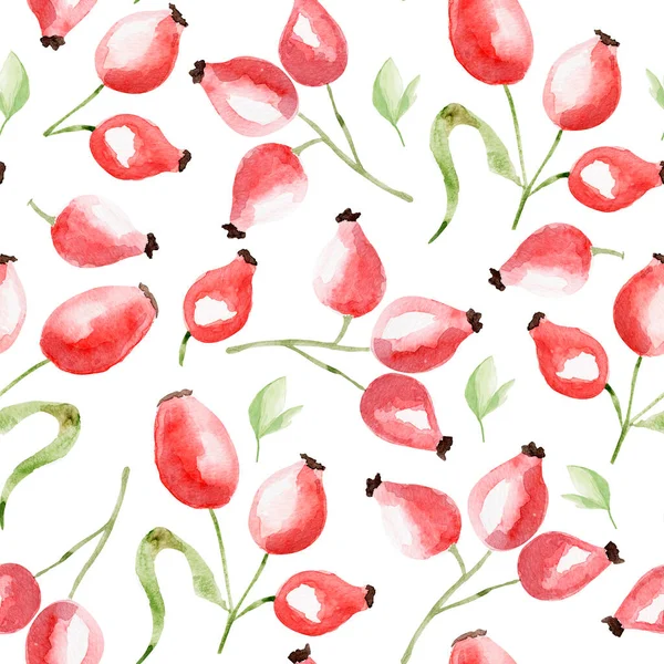 蔷薇水彩画无缝图案 装饰设计和插图模板 — 图库照片