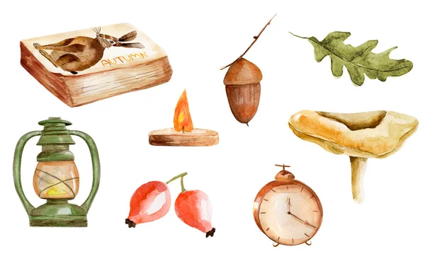 Set Van Herfst Aquarelelementen Model Voor Het Decoreren Van Ontwerpen — Stockfoto