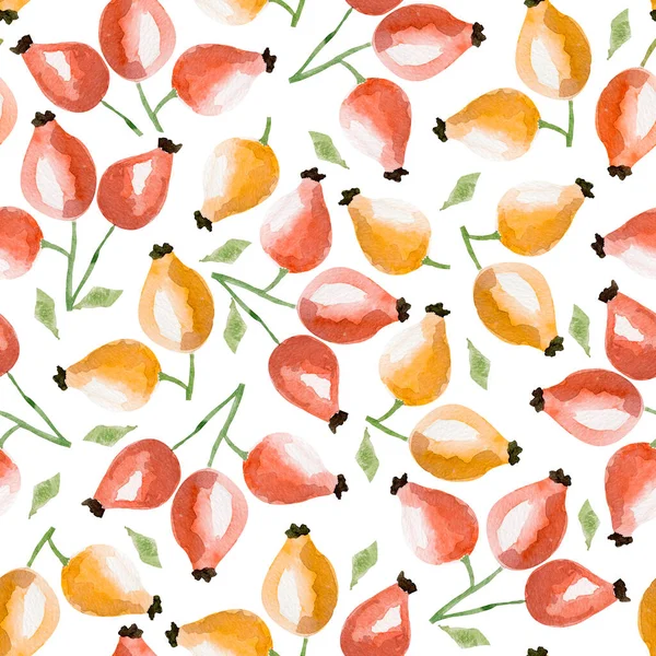 Rosehip Berry Aquarelle Motif Sans Couture Modèle Pour Décoration Dessins — Photo