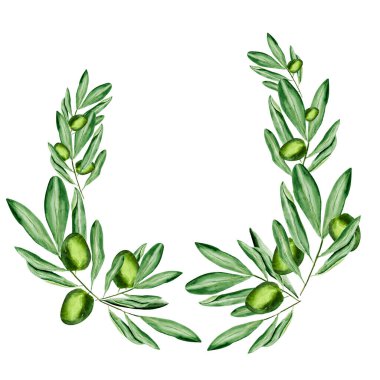 Kartpostal çerçevesi yeşil zeytin suluboya. Tasarım ve çizimler için şablon.