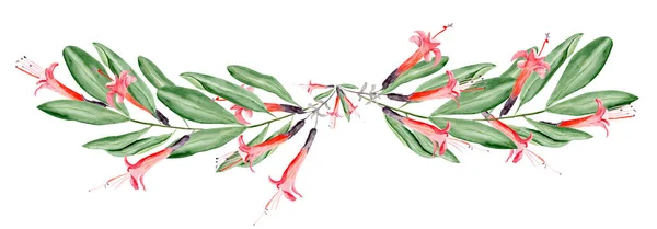 Flores Tropicais Bolívia Ramos Decorativos Com Uma Borda Aquarela Modelo — Fotografia de Stock