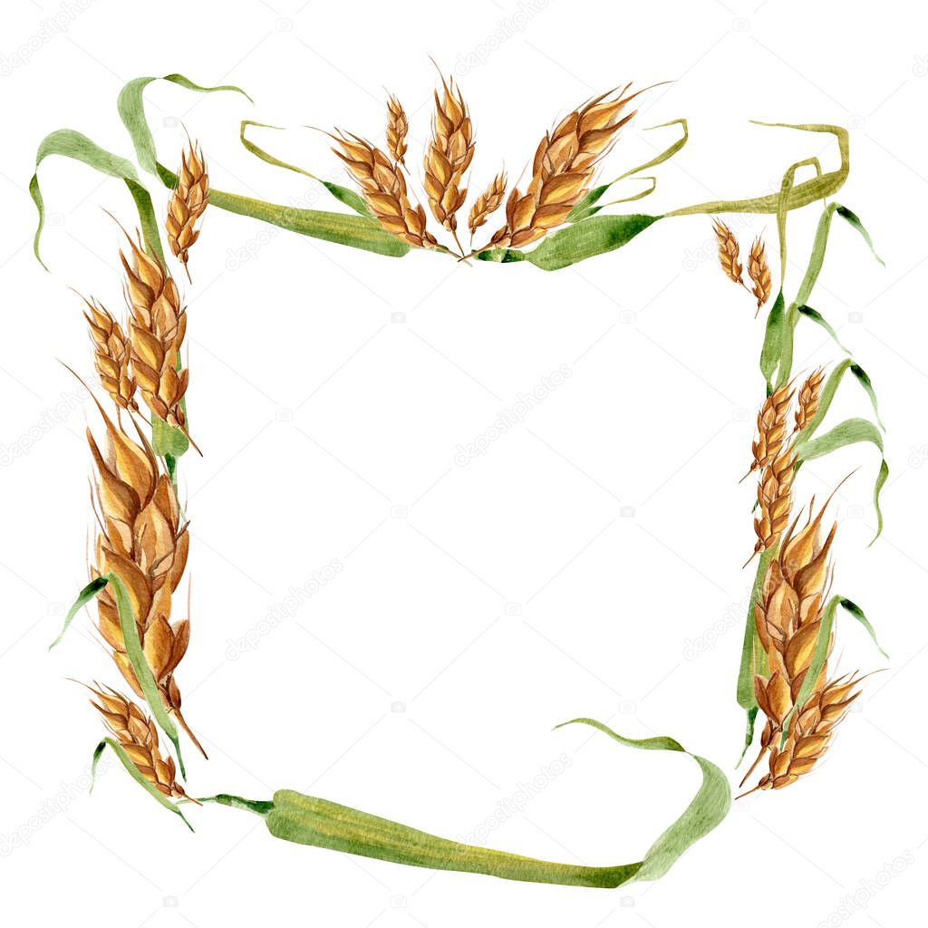 Wheat ears square frame watercolor pattern. Template for decorating designs and illustrations.