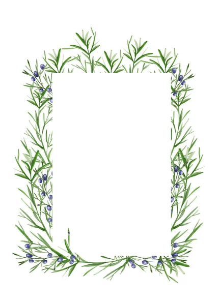 Juniper Postcard Frame Branches Watercolor Template Template Decorating Designs Illustrations — Stock Photo, Image