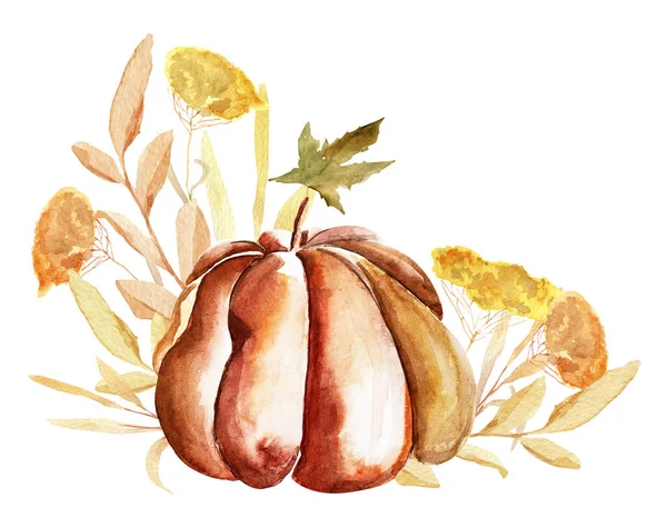 Pumpkin Herbs Autumn Watercolor Illustration Template Decorating Designs Illustrations — Stock Photo, Image
