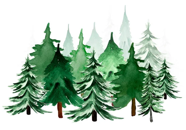 Ormanda Yılbaşı Ağaçları Çam Ağaçları Suluboya Resimleme Tasarım Çizimler Için — Stok fotoğraf
