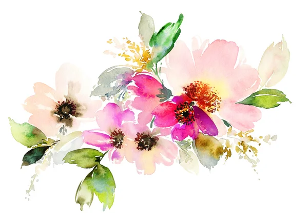 Flowers watercolor illustration.