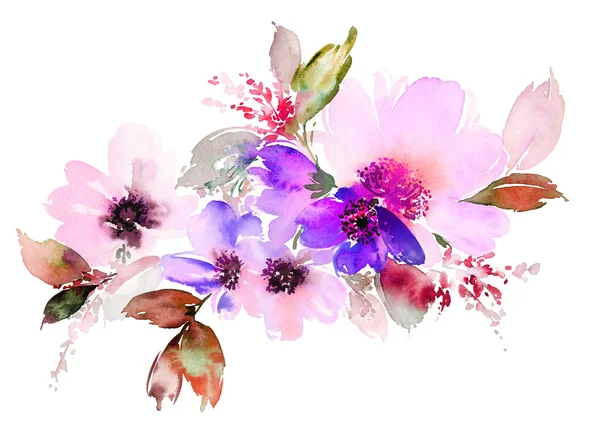 花卉水彩画 — 图库照片