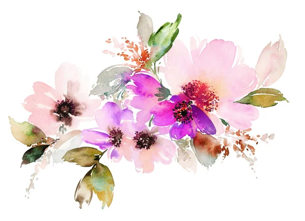 Flores acuarela ilustración —  Fotos de Stock
