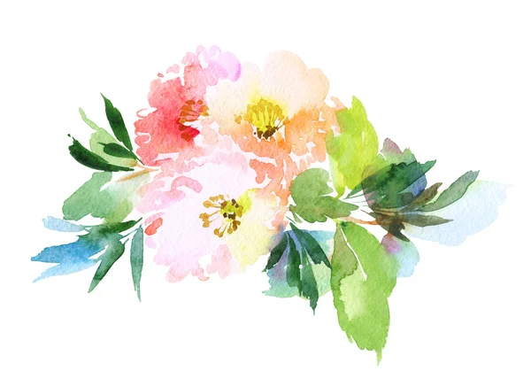 Blommor akvarell illustration — Stockfoto