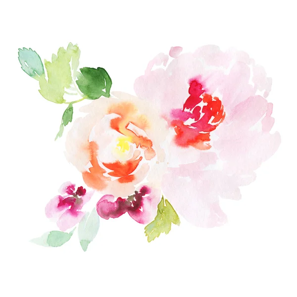 Flowers watercolor illustration — Stock Photo, Image