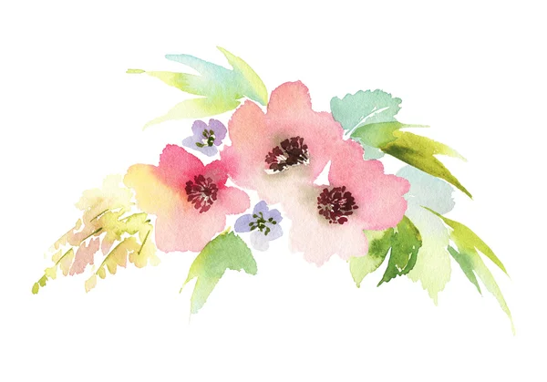 Kwiaty akwarela ilustracja — Zdjęcie stockowe