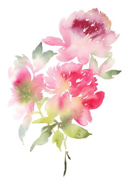 Şakayık tebrik kartı