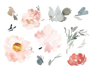 Tebrik kartları için suluboya elementler.