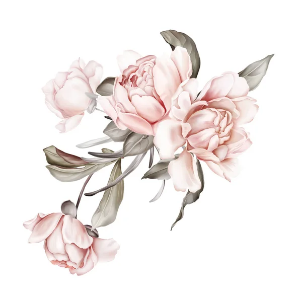 Illustratie Met Een Boeket Delicate Pioenrozen Een Witte Achtergrond Voorjaarsbloemen — Stockfoto