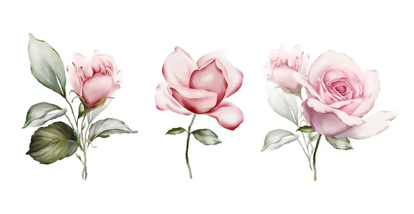 Set Boeketten Met Rozen Aquarelstijl Bloemen Voor Wenskaarten — Stockfoto