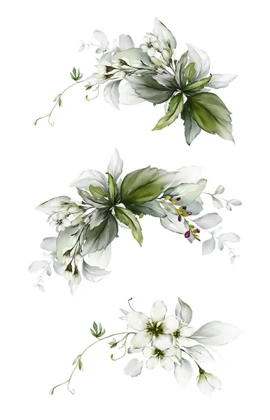 Set Van Botanische Composities Met Bladeren Bloemen Een Witte Achtergrond — Stockfoto