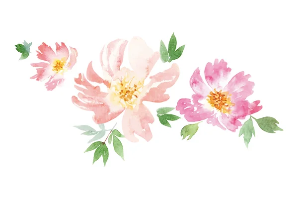 Fiori ad acquerello. Illustrazione . — Vettoriale Stock