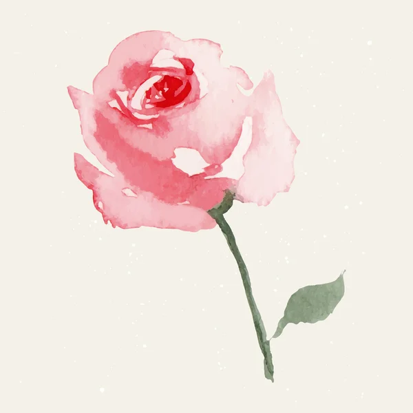 Rosa. — Vetor de Stock