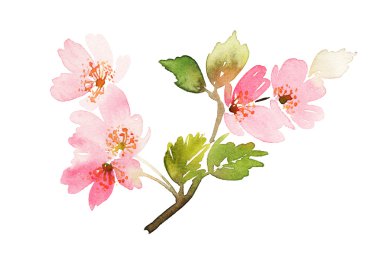 Decorative card with flowers. Heart of flowers.