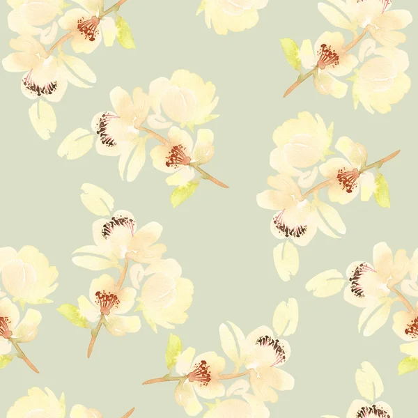 Çiçekler suluboya ile Seamless modeli. Yumuşak renkler.
