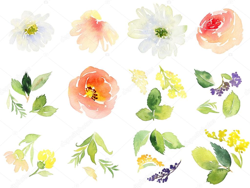 Flowers watercolor. Set for postcards.