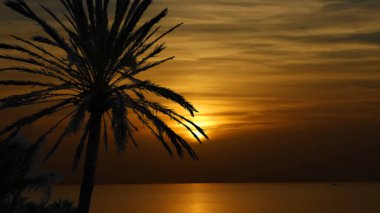 Paradisial bir plajda gün batımı Gökyüzünün renklerini keyiflendiriyor