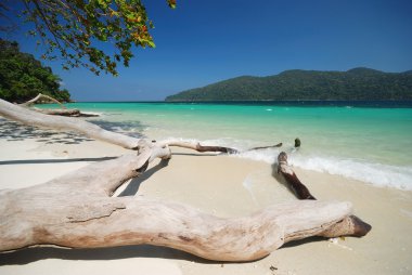 Güzel bir plaj ve berrak Denizi, Güney Tayland