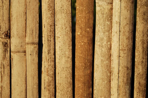 Bambu castanho empilhado — Fotografia de Stock