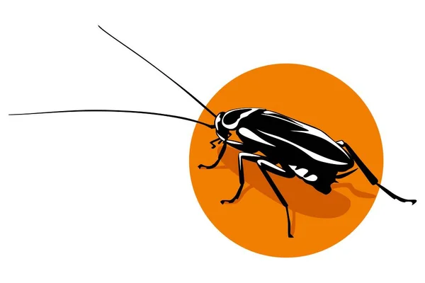 Sanitary Cleaning Cockroach Logo Vector — Stock Vector