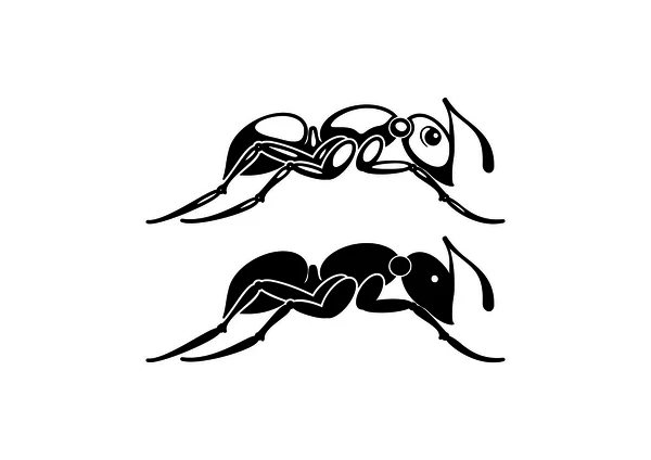 Vector black ant — Stock Vector