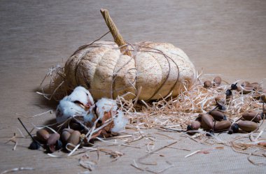 kahverengi bir arka plan üzerinde kabak