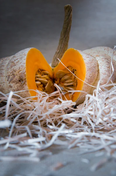 Pumpkin in the straw — Stock Photo, Image